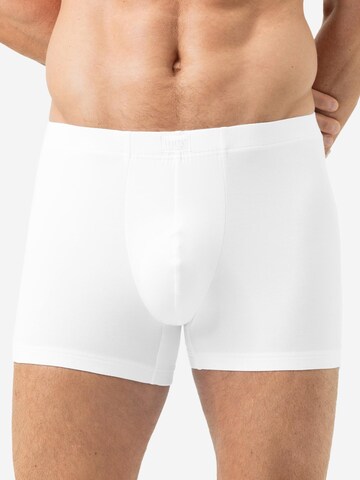 Mey Boxer shorts 'Iconic Modal' in Mixed colors