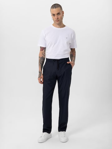 By Diess Collection Обычный Штаны в Серый