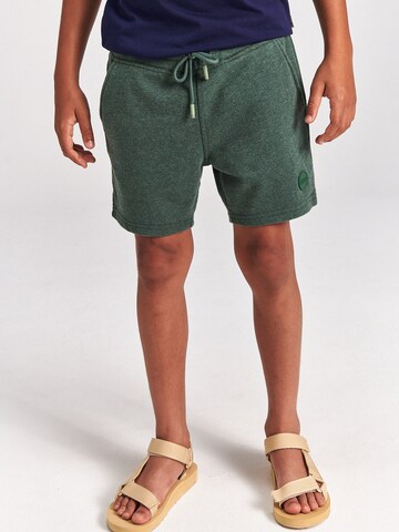 Regular Pantalon Shiwi en vert