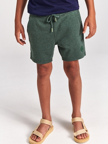 Regular Pantalon Shiwi en vert