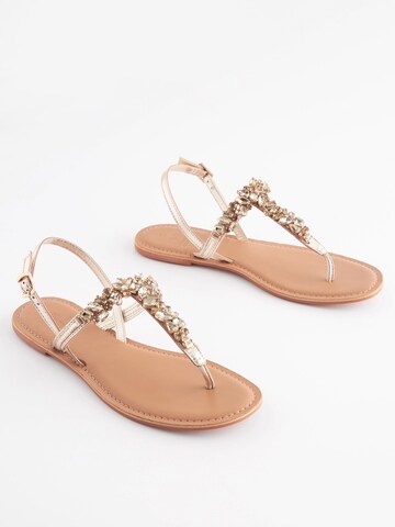 Next Teenslipper in Goud