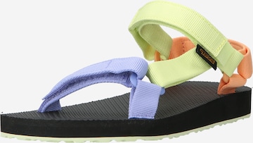 TEVA Sandals in Mixed colors: front