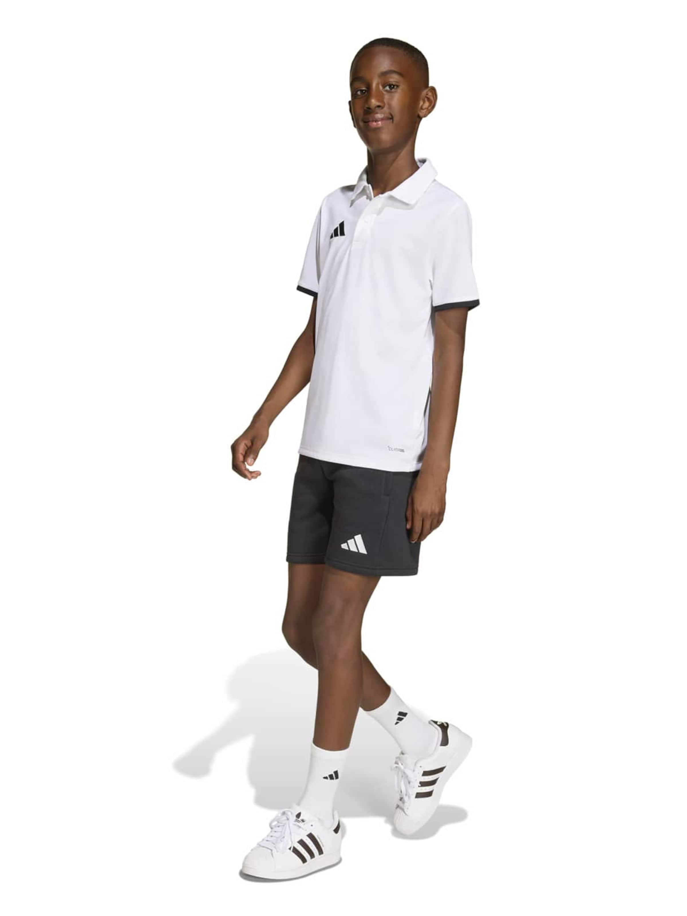 T-Shirt fonctionnel 'ENT26' ADIDAS PERFORMANCE en blanc