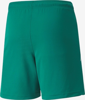 Regular Pantaloni sport 'TeamLiga' de la PUMA pe verde