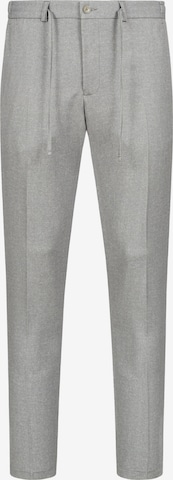 Zuitable Trousers 'DiSpartaflex SE' in Grey: front