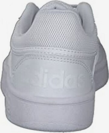 ADIDAS ORIGINALS Sneakers in Wit