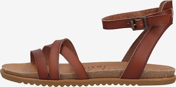 Blowfish Malibu Sandalen met riem in Bruin: voorkant