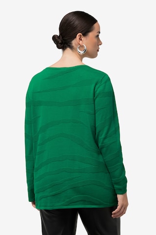 Pullover di Ulla Popken in verde