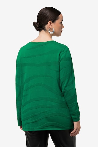 Ulla Popken Pullover in Grün