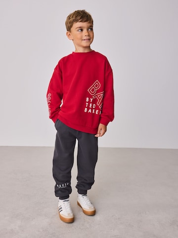 Survêtement Baker by Ted Baker en gris : devant