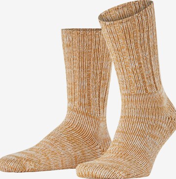 FALKE Socks 'Brooklyn' in Brown: front
