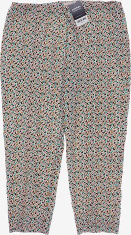Louche Pants in XXL in Mixed colors: front