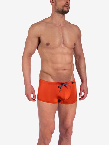 Shorts de bain ' BLU2352 Sunpants ' Olaf Benz en orange : devant