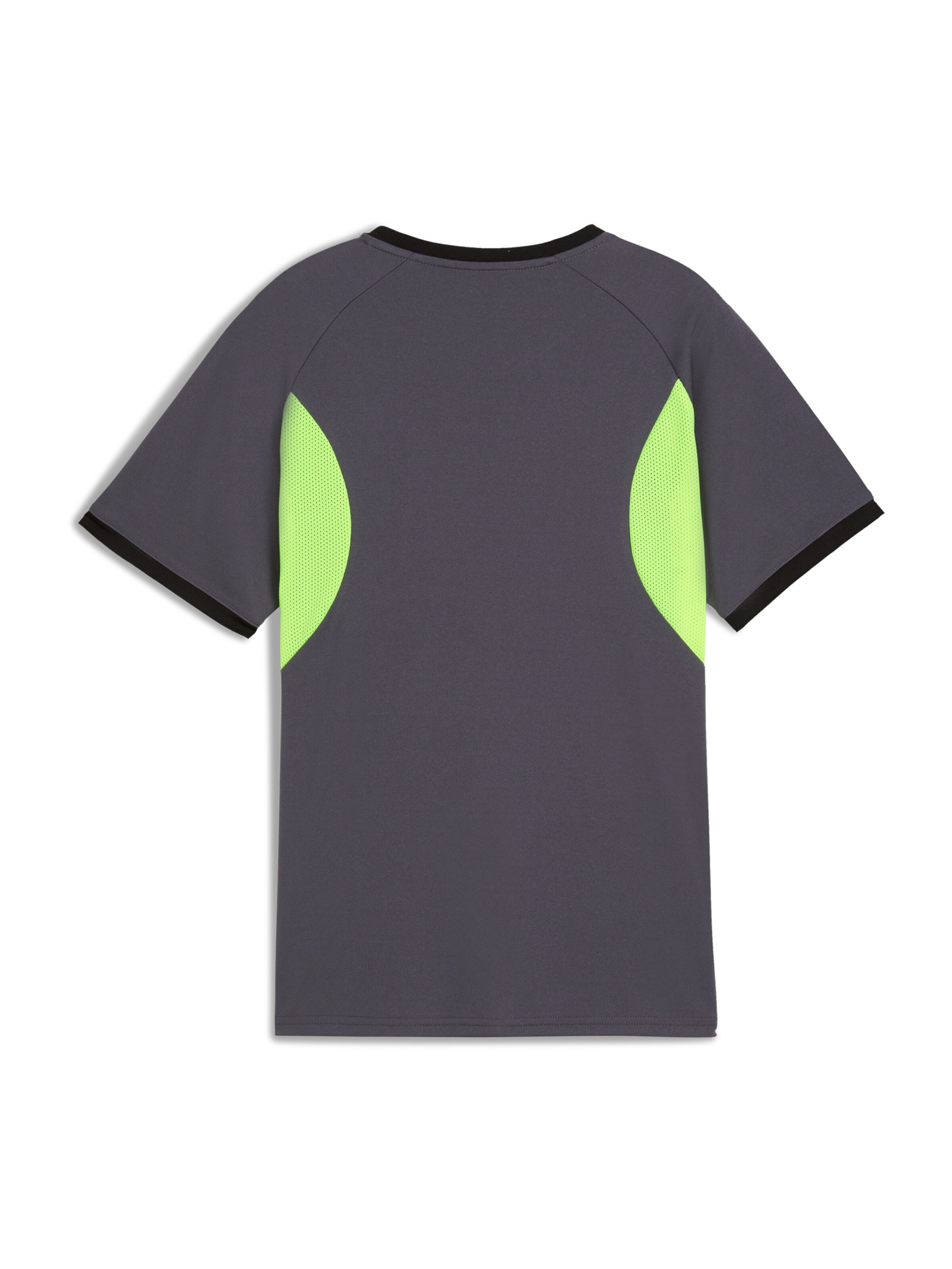 PUMA Funkčné tričko 'IndividualLIGA' - Sivá