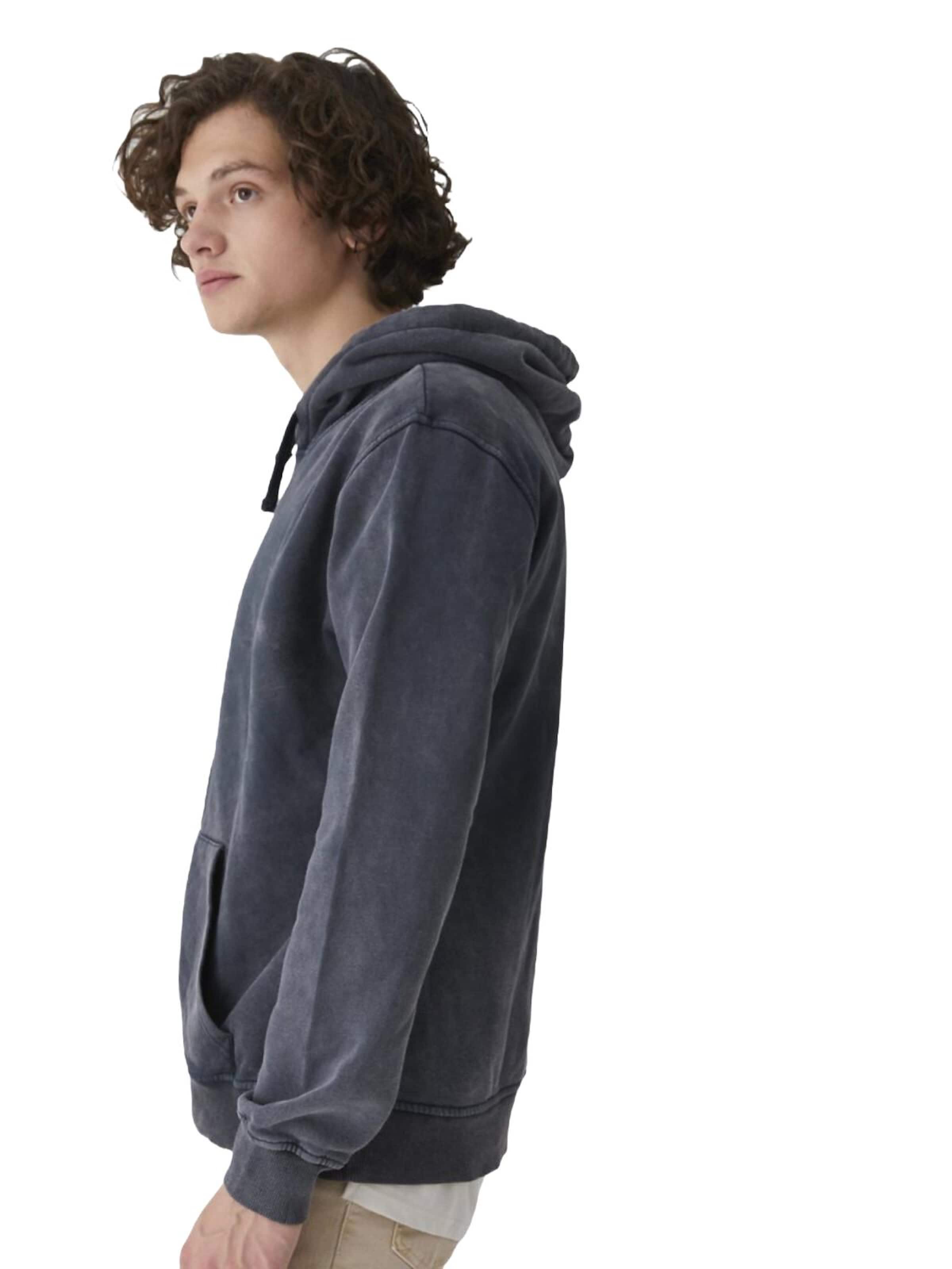 LTB Jeans - Sudadera 'LTB Jeans Herren Basic Sweatshirt' en gris