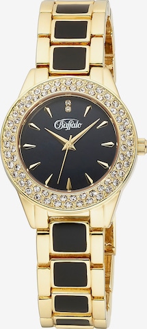 BUFFALO Analog Watch in Gold