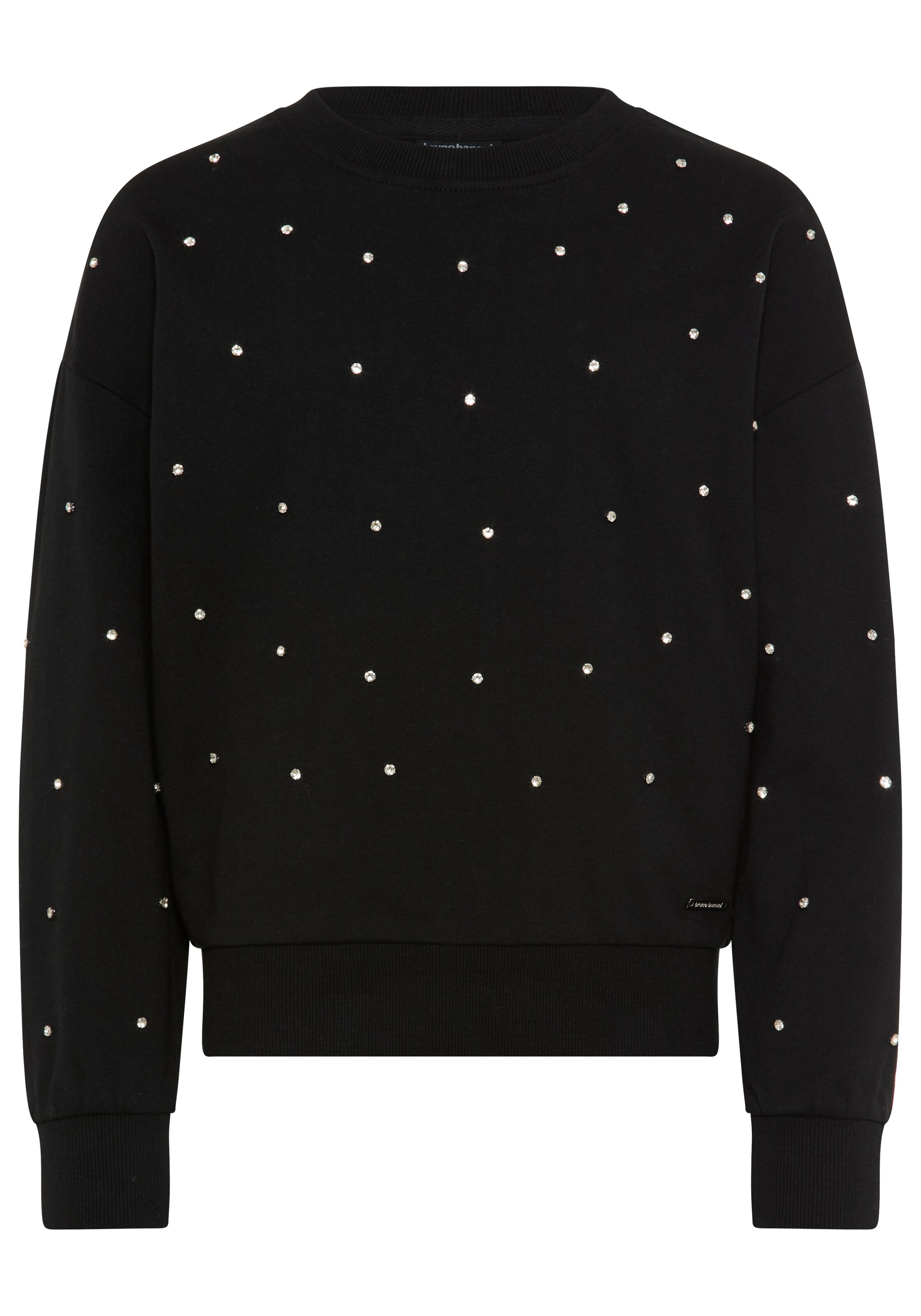 Bruno Banani LM Sweatshirt in Black: front