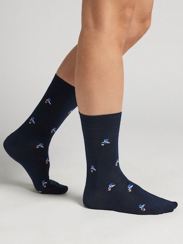 INTIMISSIMI Socks 'Sega Sonic' in Blue