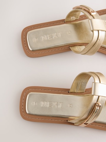 Mule Next en or