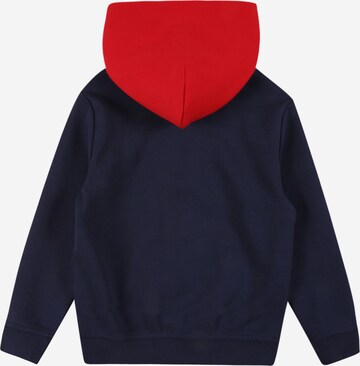 Polo Ralph Lauren Sweatshirt in Blue