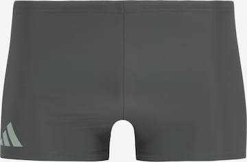 ADIDAS PERFORMANCE Спортивные плавки в Серый: спереди