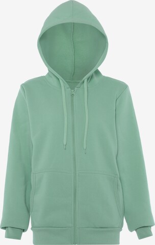 Colina Zip-Up Hoodie in Green: front