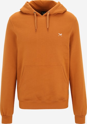 Iriedaily Regular Fit Sweatshirt in Braun: predná strana