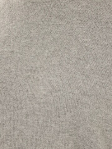 HiccupPulover 'Pullover' - siva boja