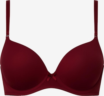 Vivisence BH '1041' in : Vorderseite