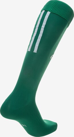 ADIDAS SPORTSWEAR Soccer Socks 'Santos 18' in Green