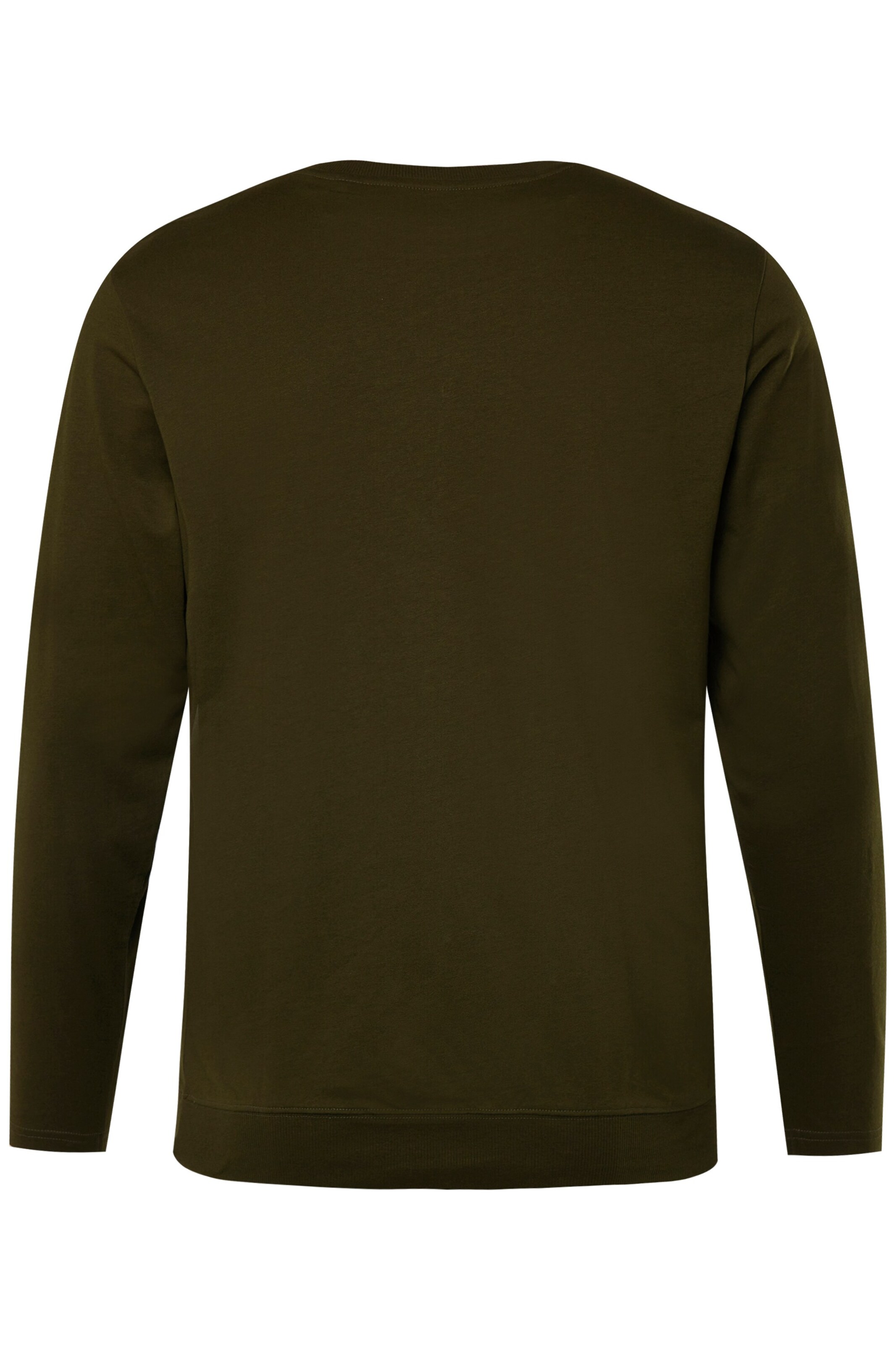 Men Plus Shirt in Green