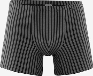 Boxers ' RED2311 Boxerpants ' Olaf Benz en gris : devant