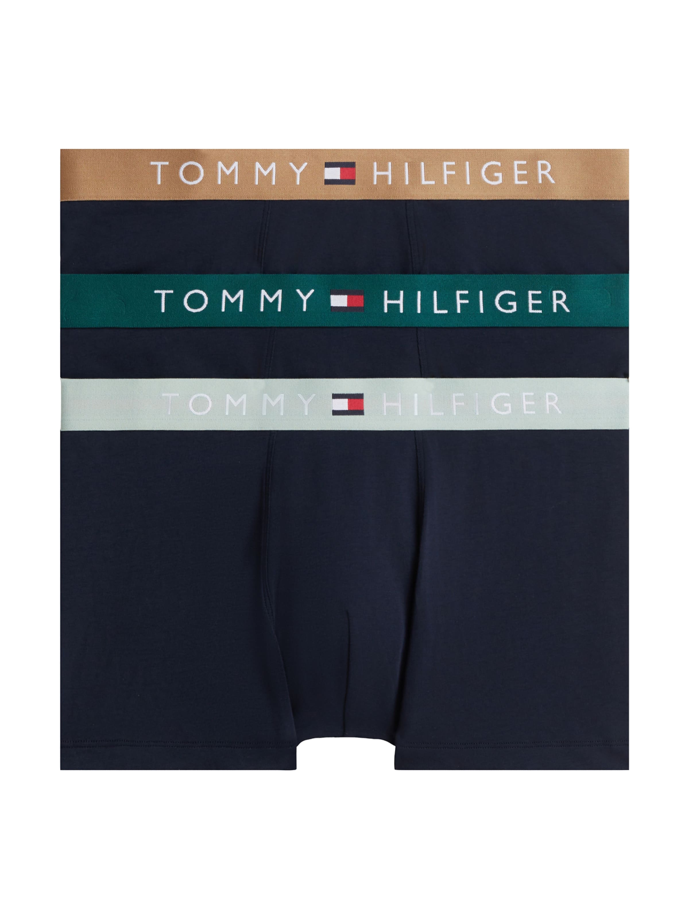 Tommy Hilfiger Underwear Boxer shorts in Blue: front