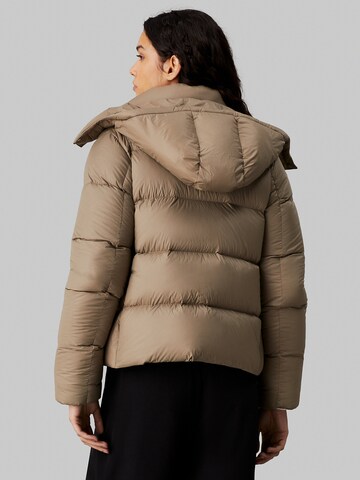 Calvin Klein Jeans Winter jacket in Brown