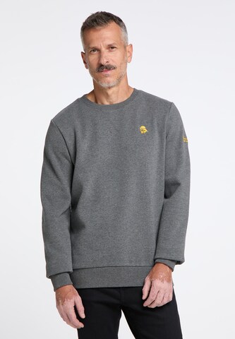 Sweat-shirt Schmuddelwedda en gris : devant