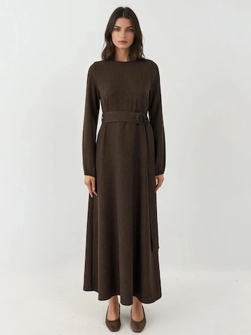 Hiccup Dress in Brown: front
