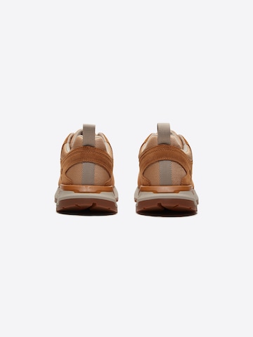 TIMBERLAND - Zapatillas deportivas bajas en marrón