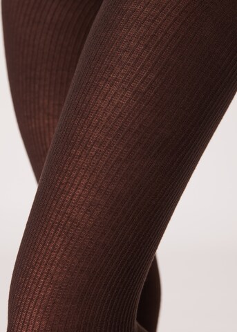 CALZEDONIA Strumpfhose 'thermo' in Braun