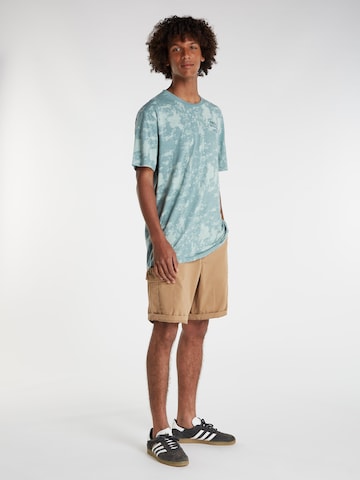 PROTEST Regular Trousers 'PRTNYTRO' in Brown