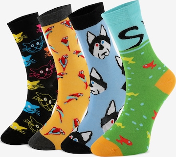 Crea Socks Sukat 'Lustige' värissä monivärinen: etupuoli