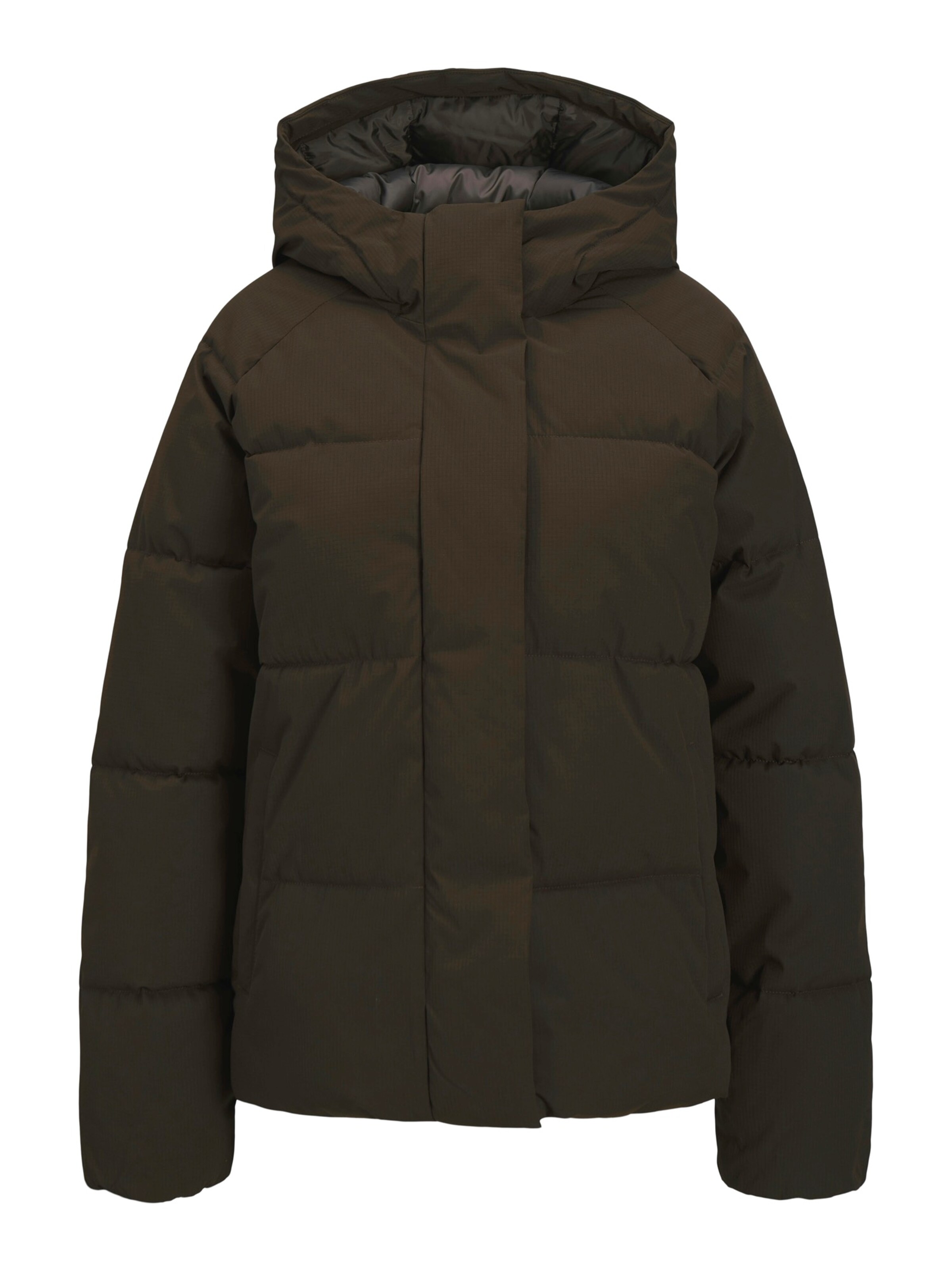 JJXX Winter Jacket 'GLOBAL' in Brown: front