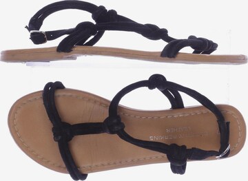 Dorothy Perkins Sandalen 38 in Schwarz: predná strana