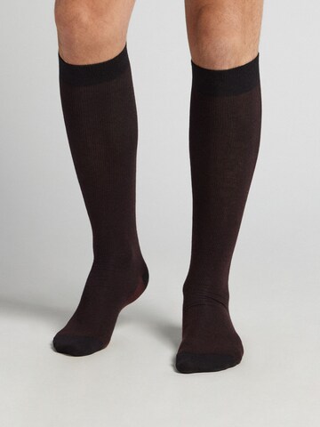 INTIMISSIMI Socken in Rot: Vorderseite