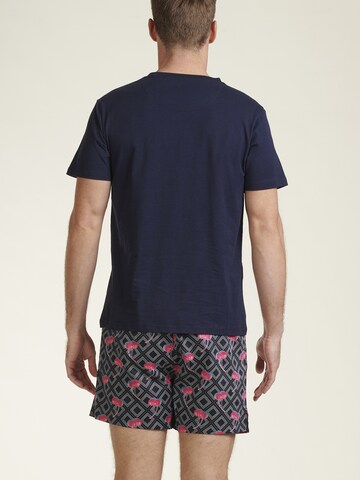 Ted Baker Pyjama kort in Blauw