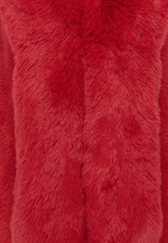 faina - Colete em vermelho