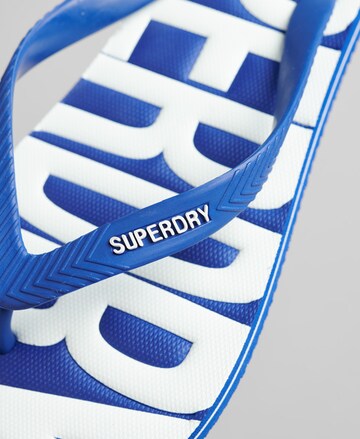 Superdry Zehentrenner in Blau