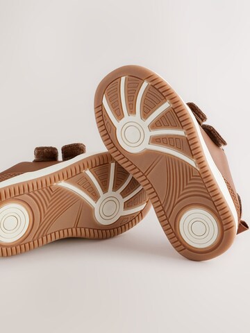 Sneaker di Next in marrone