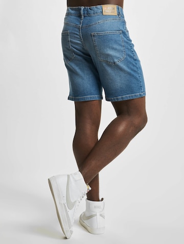 Denim Project Regularen Kavbojke | modra barva