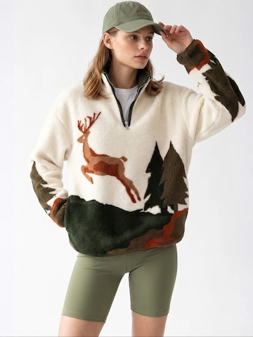 MixRaySweater majica 'Sweatshirts' - miks boja boja: prednji dio