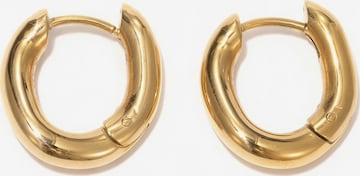 lePelou Earrings 'FLOW' in Gold: front